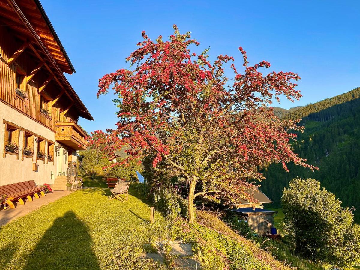 Alm Seasons Premium Chalet & Studios Saalbach-Hinterglemm Exteriör bild